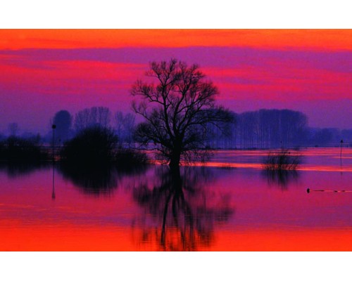 Desk Calendar DC19